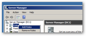 open server manager